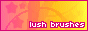 Lush Brushes